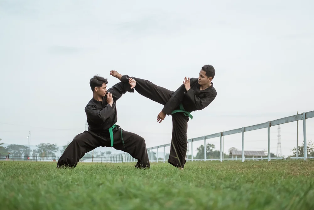 Pencak Silat Suku Dondo
